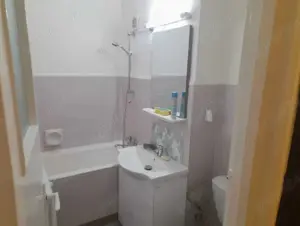 Apartament cu 1 camera in Tatarasi-Flora,la bulevard - imagine 9