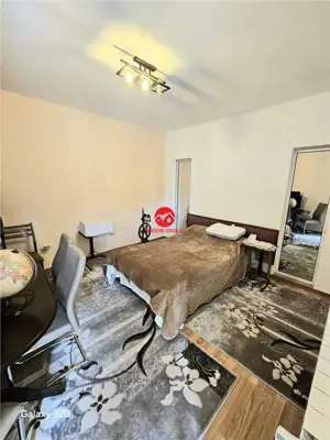 Inchiriere Casa 5 Camere Ultracentral - imagine 10