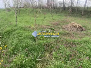 OCAZIE ! Teren intravilan 300 mp. 450 mp. si 500 mp. Vanzare Barabant Alba Iulia pentru cabana