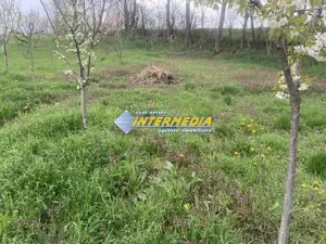 OCAZIE ! Teren intravilan 300 mp. 450 mp. si 500 mp. Vanzare Barabant Alba Iulia pentru cabana - imagine 3
