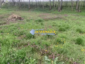 OCAZIE ! Teren intravilan 300 mp. 450 mp. si 500 mp. Vanzare Barabant Alba Iulia pentru cabana - imagine 2