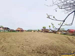 1.700mp intravilan,acces usor,intre case,ideal 2 locuinte investitie,Lunca Calnicului - imagine 8