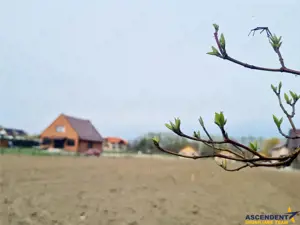 1.700mp intravilan,acces usor,intre case,ideal 2 locuinte investitie,Lunca Calnicului - imagine 2