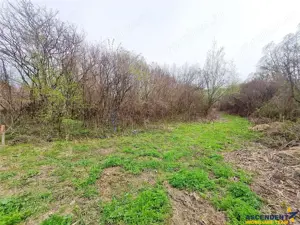 1.700mp intravilan,acces usor,intre case,ideal 2 locuinte investitie,Lunca Calnicului - imagine 13