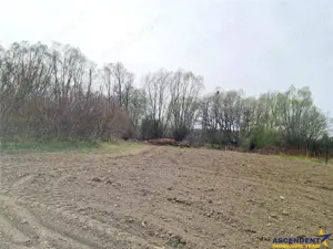 1.700mp intravilan,acces usor,intre case,ideal 2 locuinte investitie,Lunca Calnicului - imagine 12