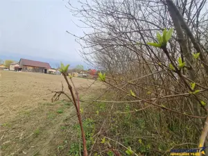 1.700mp intravilan,acces usor,intre case,ideal 2 locuinte investitie,Lunca Calnicului - imagine 11