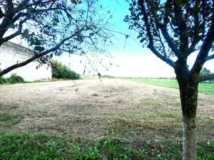 Terenuri de vânzare Boldur - imagine 3