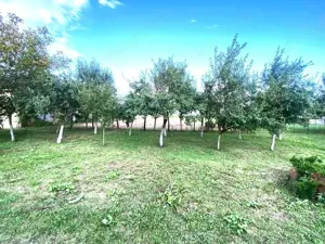 Terenuri de vânzare Boldur