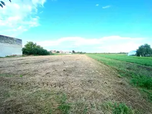 Terenuri de vânzare Boldur - imagine 2