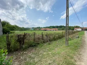 Teren Zgribesti numai 5 euro/mp - imagine 4