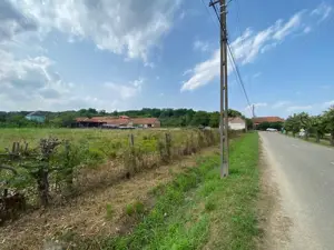 Teren Zgribesti numai 5 euro/mp - imagine 2