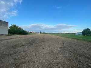 Terenuri de vânzare Boldur - imagine 4