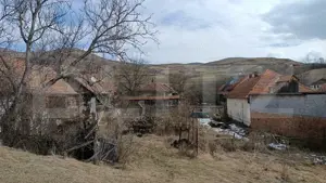 Casă veche cu teren generos de 5.300 mp – oportunitate de investiție în Baciu