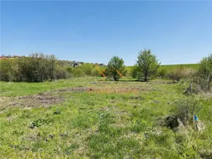 TEREN INTRAVILAN | 687 MP | LA 100 M DISTANTA DE LAC, ZONA PALEU