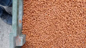 Ttx Special Peste - imagine 2