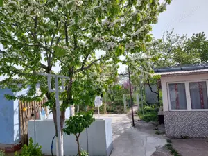 Vând casă sat Dorobanti  - imagine 3