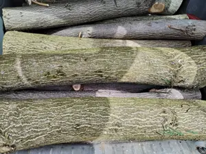 Lemn Paulownia se taie la comanda