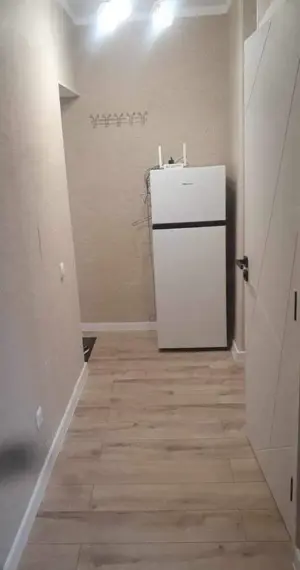 Apartament 2 camere pet friendly  Nerva Traian - imagine 2