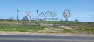 Teren  3940 MP/DN Tecuci-Tisita/ Front stradal 90m - imagine 2