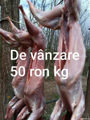 Carcasă de iepure  - imagine 3