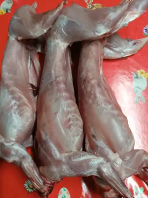 Carcasă de iepure  - imagine 2