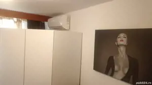 Inchiriere regim hotelier, apartament cu 1 cam, str Bradul, Spital Judetean-Complex Studentesc - imagine 5