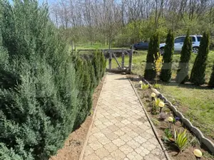 Casa de vacanta zona Ciugud - imagine 3