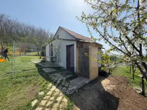 Casa de vacanta zona Ciugud - imagine 4