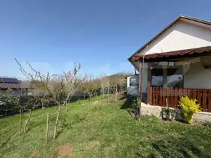 Casa de vacanta zona Ciugud - imagine 7