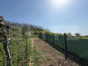 Casa de vacanta zona Ciugud - imagine 6