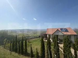 Casa de vacanta zona Ciugud