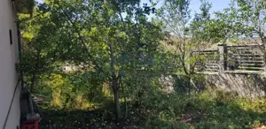 Teren 1933 mp cu casa demolabila, Pata, Apahida - imagine 4