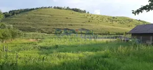 Teren 1933 mp cu casa demolabila, Pata, Apahida - imagine 6