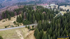 FILM! 1.000 mp,PUZ,regim P+2+M,destinatii turistice rezidentiale. - imagine 9