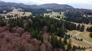 FILM! 1.000 mp,PUZ,regim P+2+M,destinatii turistice rezidentiale. - imagine 5