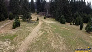 FILM! 1.000 mp,PUZ,regim P+2+M,destinatii turistice rezidentiale. - imagine 6