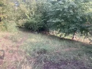 Casa single,P+1,5 camere, teren 1778mp! - imagine 7 Casa single,P+1,5 camere, teren 1778mp! - imagine 7