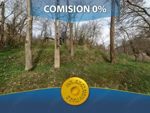 Teren de vânzare – 1221 mp în Budeasa Mică, zonă liniștită.