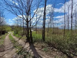 Resita, Teren Intravilan Langa Oras, 5265 Mp., 6,6 Euro Mp., Km. 7 - imagine 9