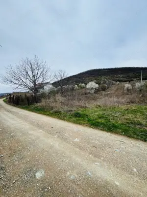 AV644 Teren intravilan, BERZASCA-DUNARE, 3000mp, posibilitate investitie turism - imagine 5
