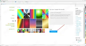 CorelDRAW Graphics Suite Business 2025-3 Lifetime licenses ( permanente ) - imagine 4