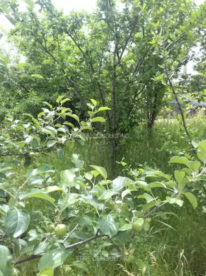 Casa situata in carttierul rezidential Domnesti - imagine 5