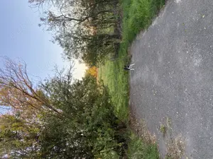 Vând teren in satul  sangeorge comuna birda la 46 km de Timișoara