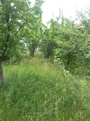 Casa situata in carttierul rezidential Domnesti - imagine 3