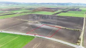 Comision 0% | Teren extravilan | Front la E60 | 10.000 mp | Feldioara