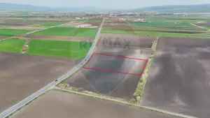 Teren extravilan potențial industrial | 10.000 mp | Feldioara - imagine 3
