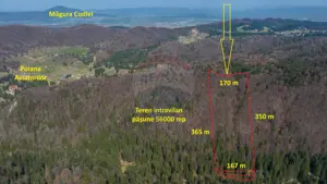 Teren intravilan, 56000 mp, Poiana Braşov