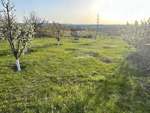 Teren intravilan 2000 mp   Zona Dimitrie Cantemir toate utilitatile - imagine 8