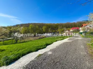 Teren intravilan 6.516 mp in Deva, prelungire str. Vulcan, spre Almas, Jud. Hunedoara. - imagine 7