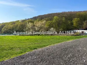 Teren intravilan 6.516 mp in Deva, prelungire str. Vulcan, spre Almas, Jud. Hunedoara. - imagine 3